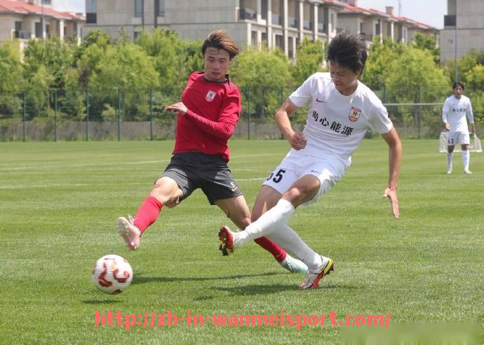 完美体育app-法甲防守模式对比及各队防守战术特点研究